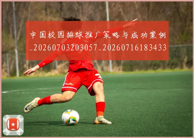 中国校园排球推广策略与成功案例_20260703203057_20260716183433